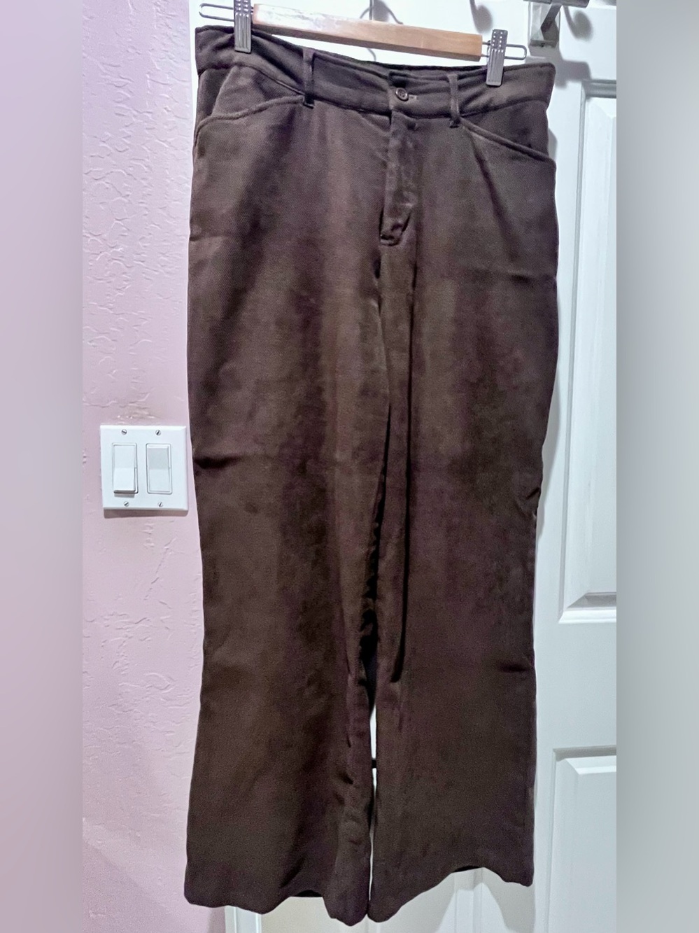 TravelSmith Women's Brown pants
